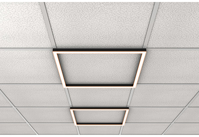 LDS PureEdge Free Form T Bar Ceiling